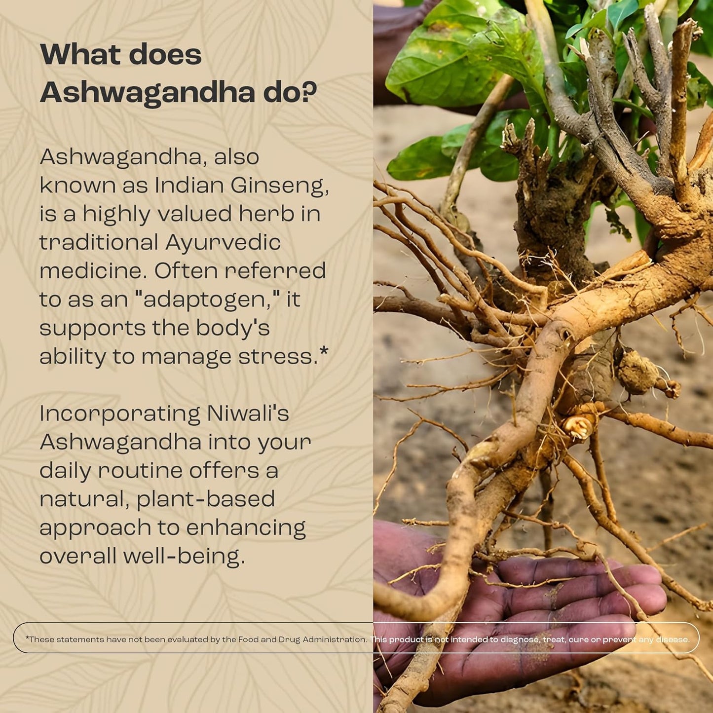 Niwali Ashwagandha Capsules | Organic Ayurvedic Supplement | With Black Pepper, 60 Count